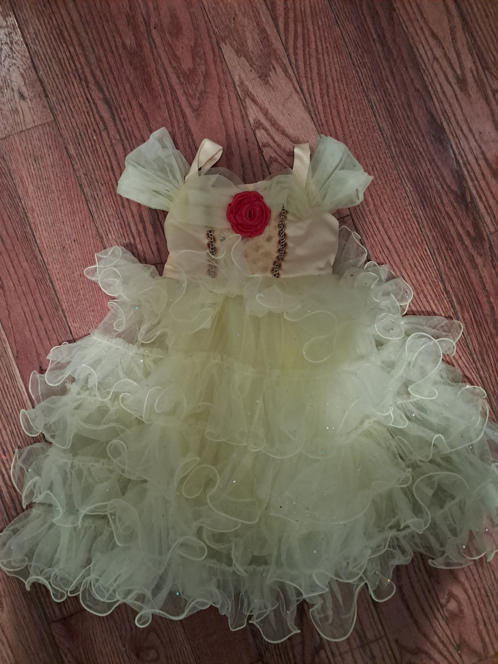 Girls Princess Belle Costume Dress